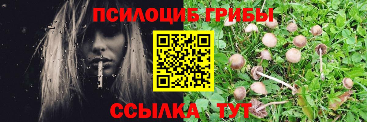 Ревда  Галлюциногенные грибы прущие грибы  Вход с VPN  Галлюциногенные грибы Magic Shrooms 